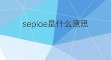 sepiae是什么意思 sepiae的中文翻译、读音、例句