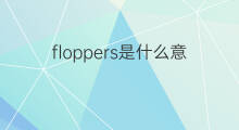 floppers是什么意思 floppers的中文翻译、读音、例句