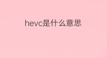 hevc是什么意思 hevc的中文翻译、读音、例句