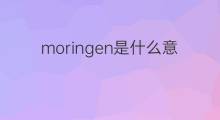 moringen是什么意思 moringen的中文翻译、读音、例句