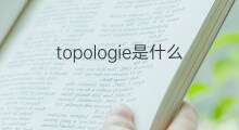 topologie是什么意思 topologie的中文翻译、读音、例句