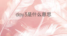 day3是什么意思 day3的中文翻译、读音、例句