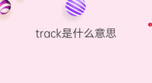track是什么意思 track的中文翻译、读音、例句
