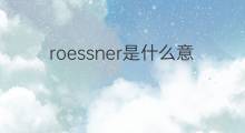 roessner是什么意思 roessner的中文翻译、读音、例句
