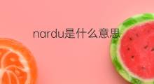 nardu是什么意思 nardu的中文翻译、读音、例句