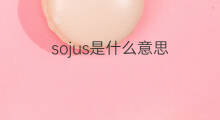 sojus是什么意思 sojus的中文翻译、读音、例句