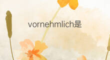 vornehmlich是什么意思 vornehmlich的中文翻译、读音、例句