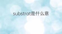substrat是什么意思 substrat的翻译、读音、例句、中文解释