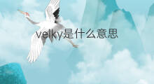 velky是什么意思 velky的中文翻译、读音、例句