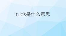 tuds是什么意思 tuds的中文翻译、读音、例句