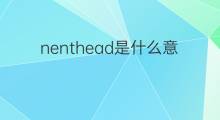 nenthead是什么意思 nenthead的中文翻译、读音、例句
