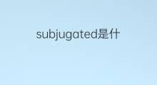 subjugated是什么意思 subjugated的中文翻译、读音、例句