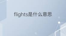 flights是什么意思 flights的中文翻译、读音、例句