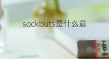 sackbuts是什么意思 sackbuts的中文翻译、读音、例句