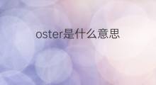 oster是什么意思 oster的中文翻译、读音、例句
