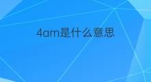 4am是什么意思 4am的中文翻译、读音、例句