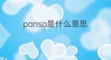 pansa是什么意思 pansa的中文翻译、读音、例句