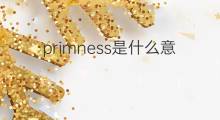 primness是什么意思 primness的中文翻译、读音、例句