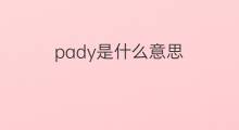 pady是什么意思 pady的中文翻译、读音、例句