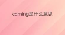 caming是什么意思 caming的中文翻译、读音、例句