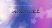 pepo是什么意思 pepo的中文翻译、读音、例句