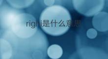 righi是什么意思 righi的中文翻译、读音、例句