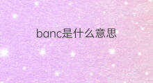 banc是什么意思 banc的中文翻译、读音、例句