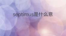 septimus是什么意思 septimus的中文翻译、读音、例句