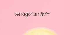 tetragonum是什么意思 tetragonum的中文翻译、读音、例句