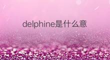 delphine是什么意思 delphine的中文翻译、读音、例句