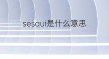 sesqui是什么意思 sesqui的中文翻译、读音、例句