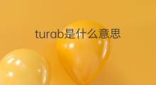 turab是什么意思 turab的中文翻译、读音、例句