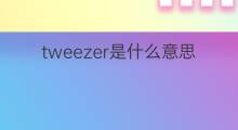 tweezer是什么意思 tweezer的中文翻译、读音、例句