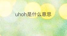 uhoh是什么意思 uhoh的中文翻译、读音、例句