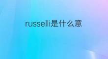 russelli是什么意思 russelli的中文翻译、读音、例句