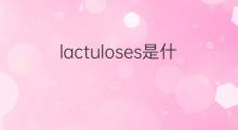 lactuloses是什么意思 lactuloses的中文翻译、读音、例句