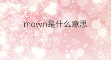 mown是什么意思 mown的中文翻译、读音、例句