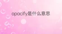 opacify是什么意思 opacify的中文翻译、读音、例句