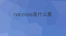 narzisse是什么意思 narzisse的中文翻译、读音、例句