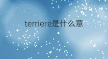 terriere是什么意思 terriere的中文翻译、读音、例句