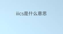 iiics是什么意思 iiics的中文翻译、读音、例句