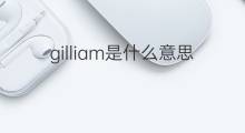 gilliam是什么意思 gilliam的中文翻译、读音、例句