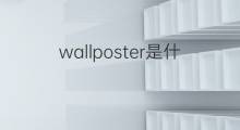 wallposter是什么意思 wallposter的中文翻译、读音、例句