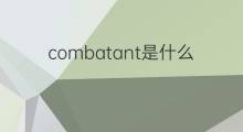combatant是什么意思 combatant的中文翻译、读音、例句