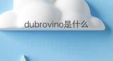 dubrovino是什么意思 dubrovino的中文翻译、读音、例句