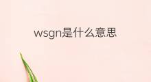wsgn是什么意思 wsgn的中文翻译、读音、例句