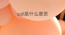 sall是什么意思 sall的中文翻译、读音、例句