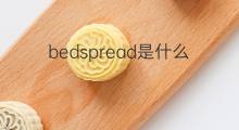 bedspread是什么意思 bedspread的中文翻译、读音、例句