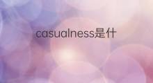 casualness是什么意思 casualness的中文翻译、读音、例句