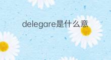 delegare是什么意思 delegare的中文翻译、读音、例句